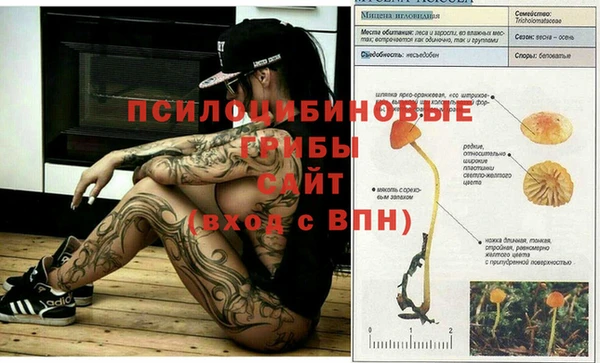 дживик Белоозёрский