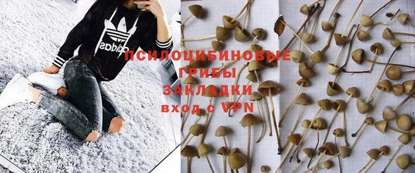 дживик Белоозёрский